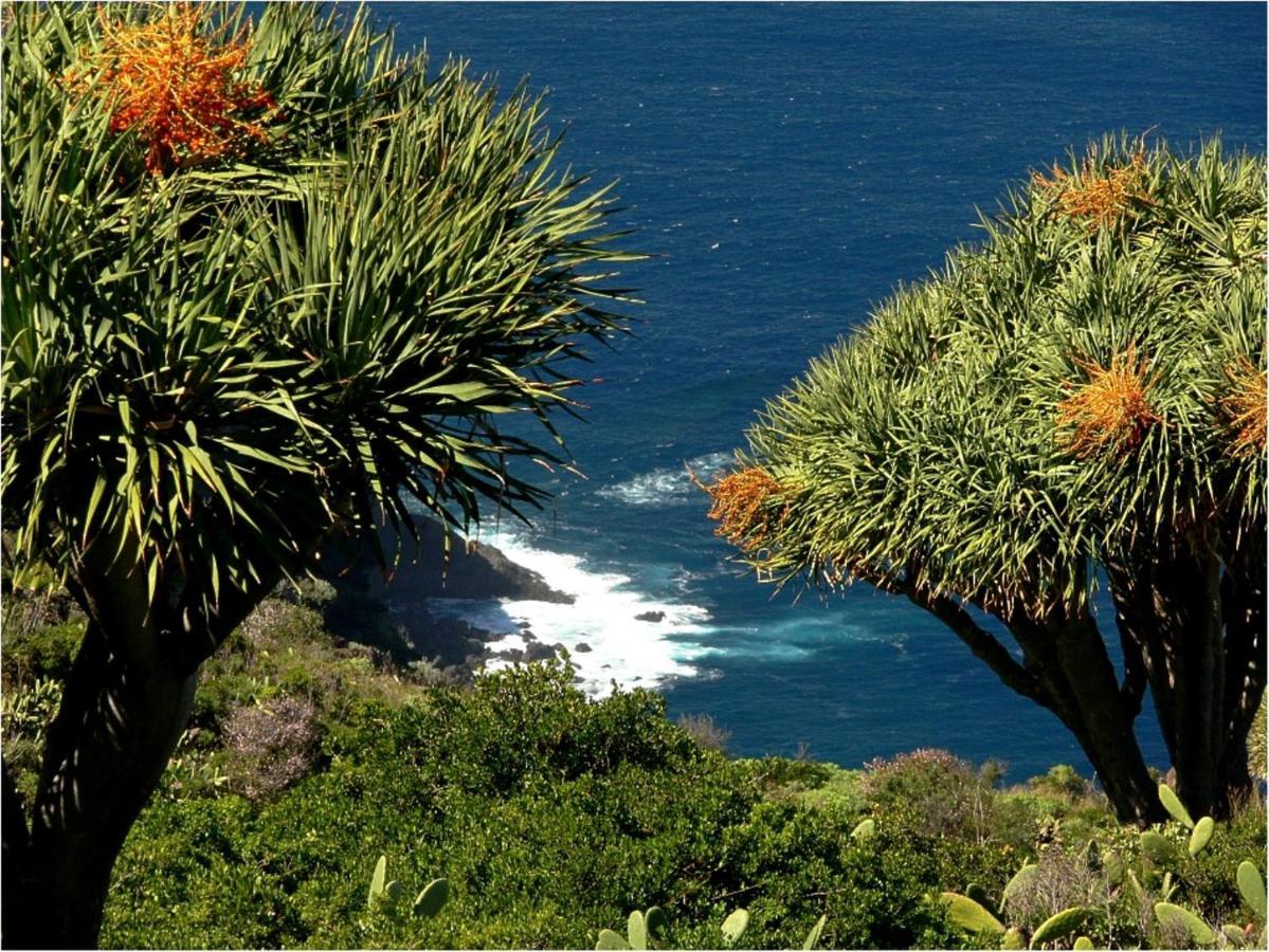 Feriendomizil Finca Tijarafe Mit Beheiztem, Abdeckbarem Pool Экстерьер фото